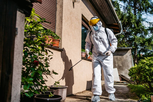 Trusted Whitesboro, TX Pest Control Experts