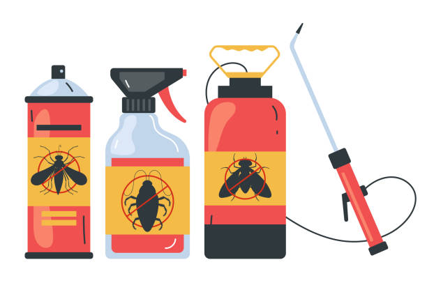 Wasp Removal Services in Whitesboro, TX